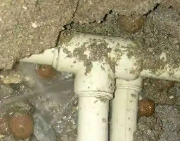 田阳测漏水多少钱