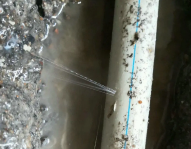 田阳测漏水哪家好