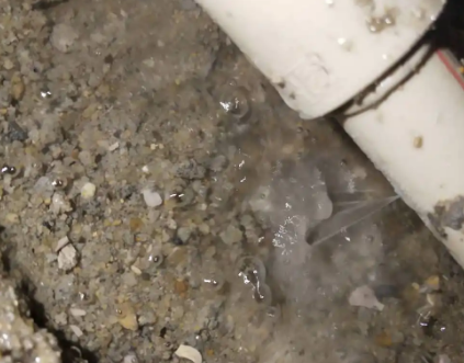 田阳测漏水电话号码