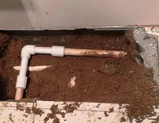 田阳测漏水哪家好