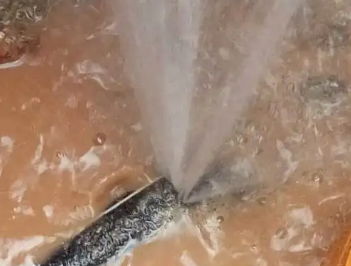 田阳水管漏水检测哪家好