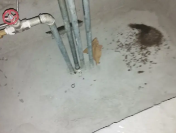 田阳卫生间测漏水价格明细