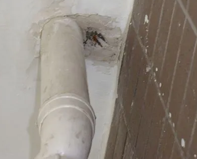 田阳漏水检测哪家好